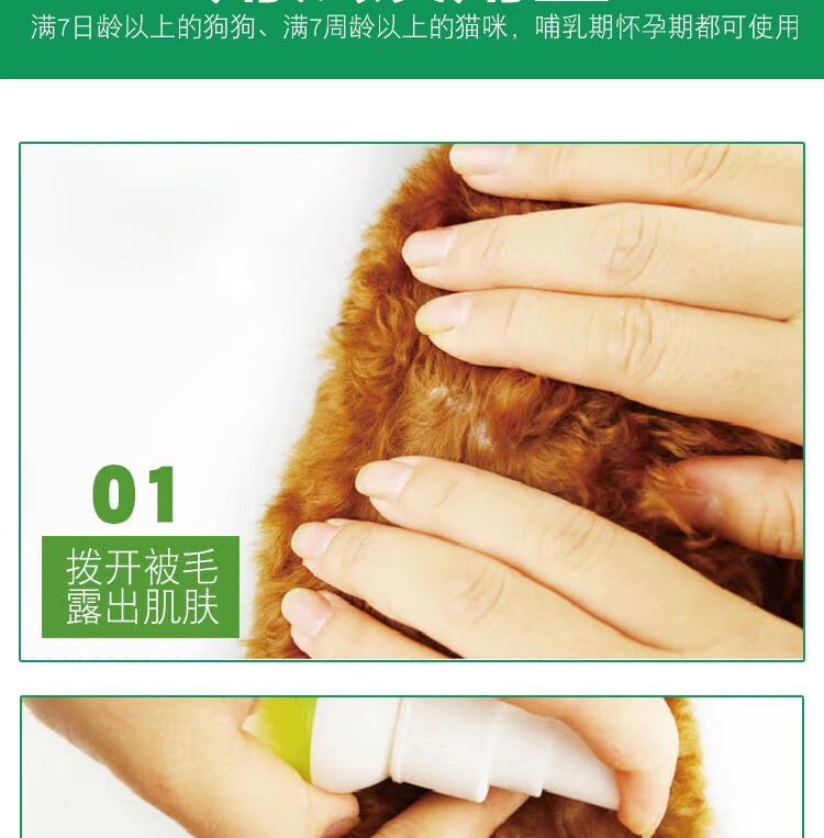 Chó cưng ngoài thuốc diệt côn trùng bọ chét 立 清 去 蚤 蚤 骚 骚 - Thuốc diệt côn trùng raid xịt côn trùng