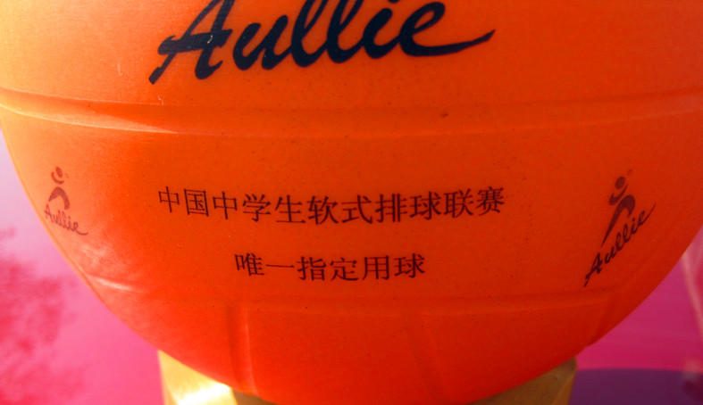 Ballon de volley-ball - Ref 2008446 Image 12