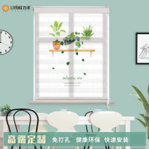 Printed soft gauze shade waterproof lifting blackout toilet roller blinds bedroom living room home non-punching