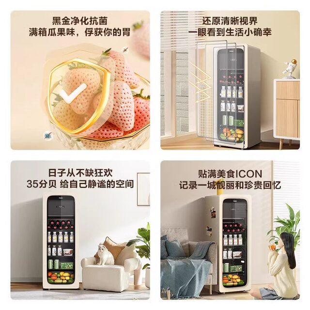 Haier DS0133LH9EY1 home office 133 liter dual temperature ice bar tea beverage preservation cabinet