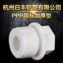 Hangzhou Rifeng Aluminum Plastic Co. Ltd. ppr4 points outer wire plug 2025 6 points plug PPR water pipe fittings