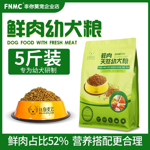 Не -you mo tya dog Grain General Type 5 Catties of Golden Mao Tedi Labrador увы Casmier Natural