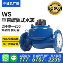 Ningbo main brand water meter WS water meter vertical screw wing type high precision wide range high sensitivity flange large diameter