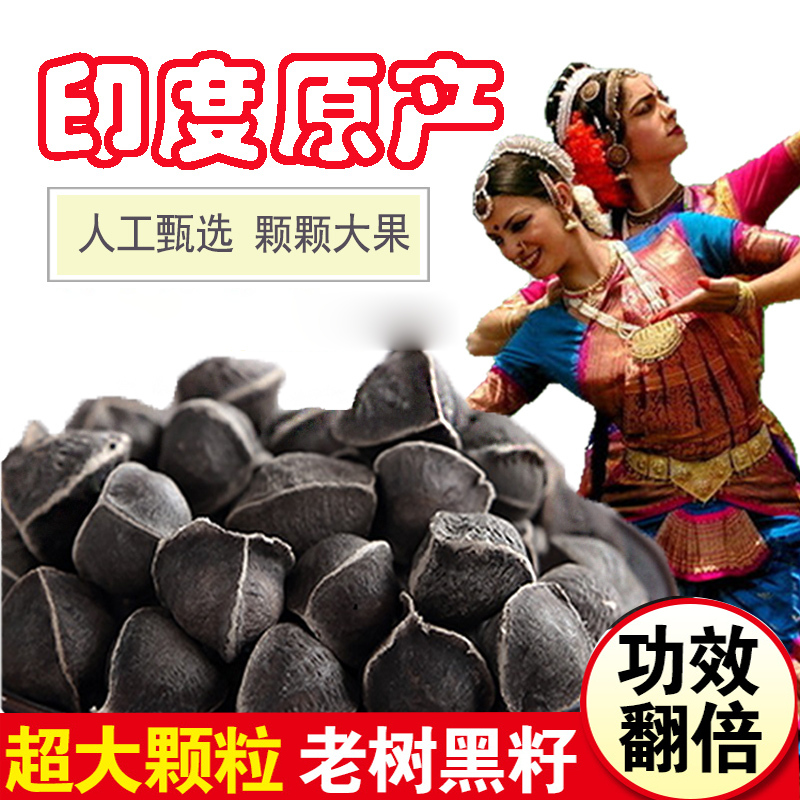 India's imported Moringa fenugreek seedlings 1 jin pack edible wild efficacy and role flagship store