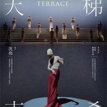 (Shanghai) Shen Wei’s classic work Ladder to Heaven·Shengxi