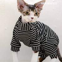 Новый живот, чтобы защитить живот -блок и белые полосы