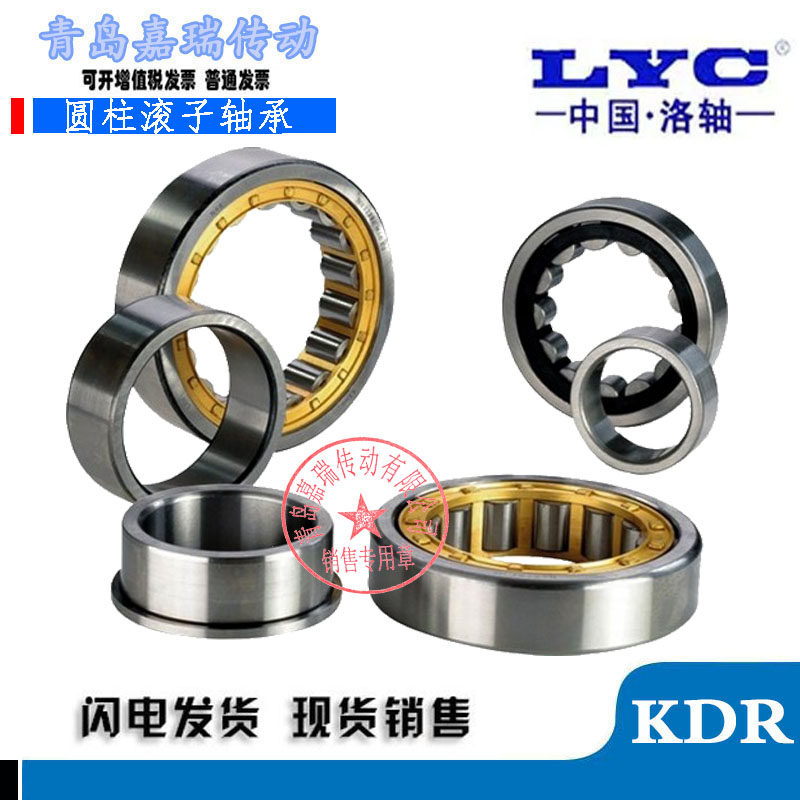 Luoyang LYC bearings N NJU NJ RN NUP NF 206207208209 E M C3 4 P5 6