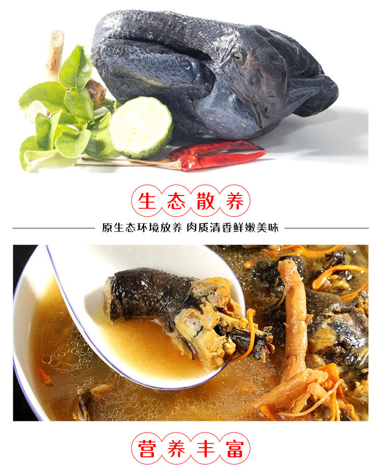 大用好味道 农家散养白凤乌骨鸡1000g*2只 图5