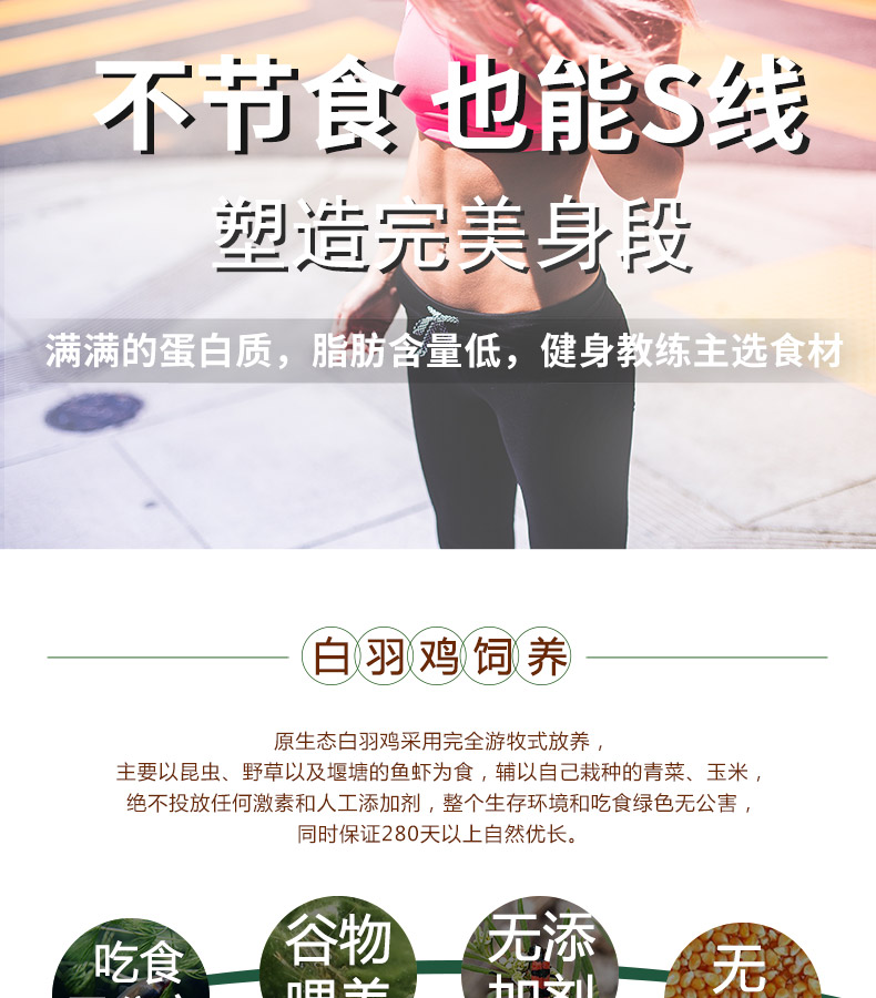 肯德基供应商 大用 鲜冻鸡胸肉 4斤 图6