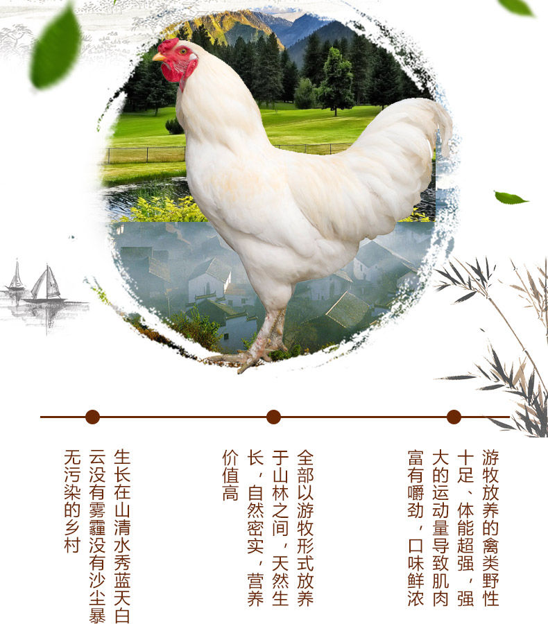 肯德基供应商 大用 鲜冻鸡胸肉 4斤 图8