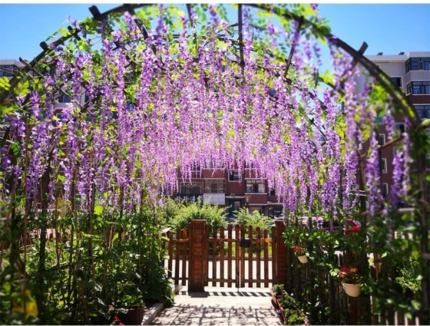 Mô phỏng Wisteria Hoa Bean Bean Chuỗi dài Trang trí đám cưới Mây trong nhà Vine Vine Violet Violet Vine Vine Hoa - Hoa nhân tạo / Cây / Trái cây