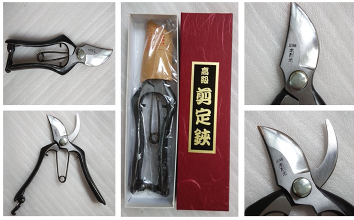 日本本則光本職用鍛打剪定鋏安來鋼園藝修枝剪果樹剪盆栽剪刀
