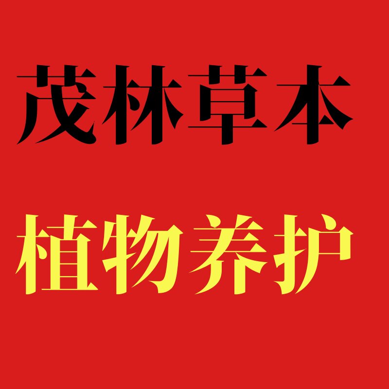 美容院热敷减肥工厂