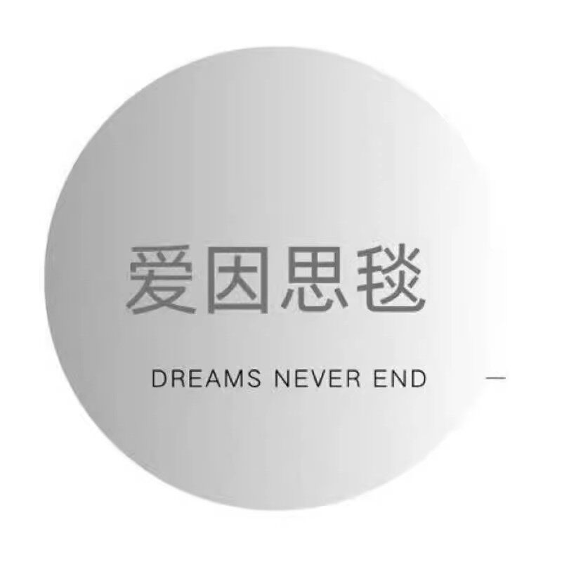 AI爱因思毯的LOGO