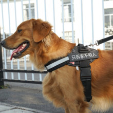 赠美容刷+铃铛+字帖 狗狗牵引绳背心狗链