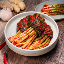 Park small sample Korean shallot Kimchi Yanbian Korean style shallot under the meal Northeast small root shallot Kimchi 500g