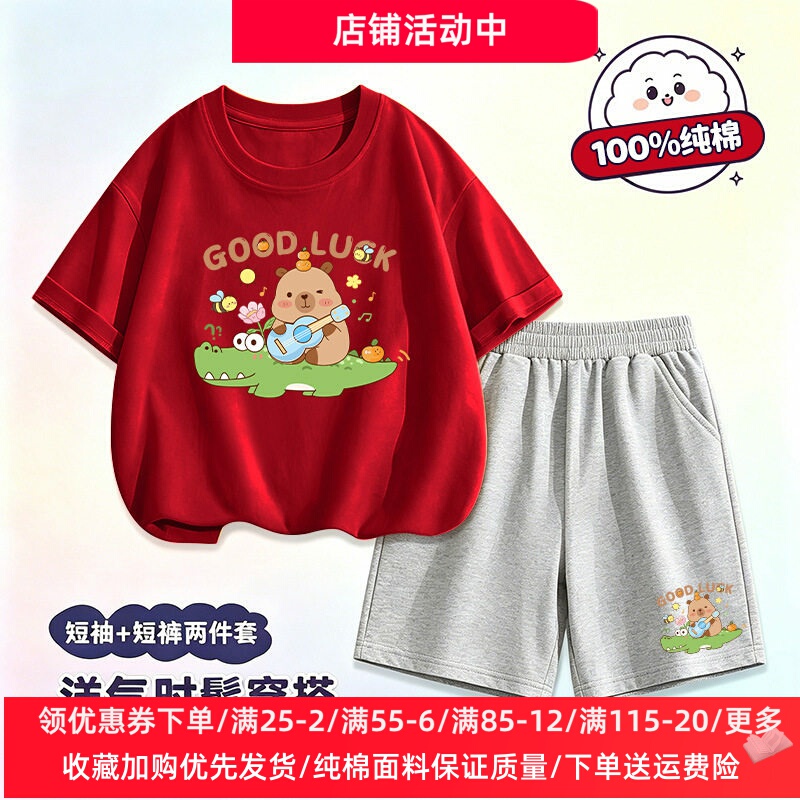 Summer Suit for Boys and Girls, Thin Pure Cotton, Short-Sleeved T-Shirt and Shorts for Kidsren Aged 3-8, 5 Baby Capibala Clothes 6