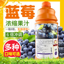 Blueberry juice concentrate commercial household milk tea shop mixed drink syrup fruity 6 times