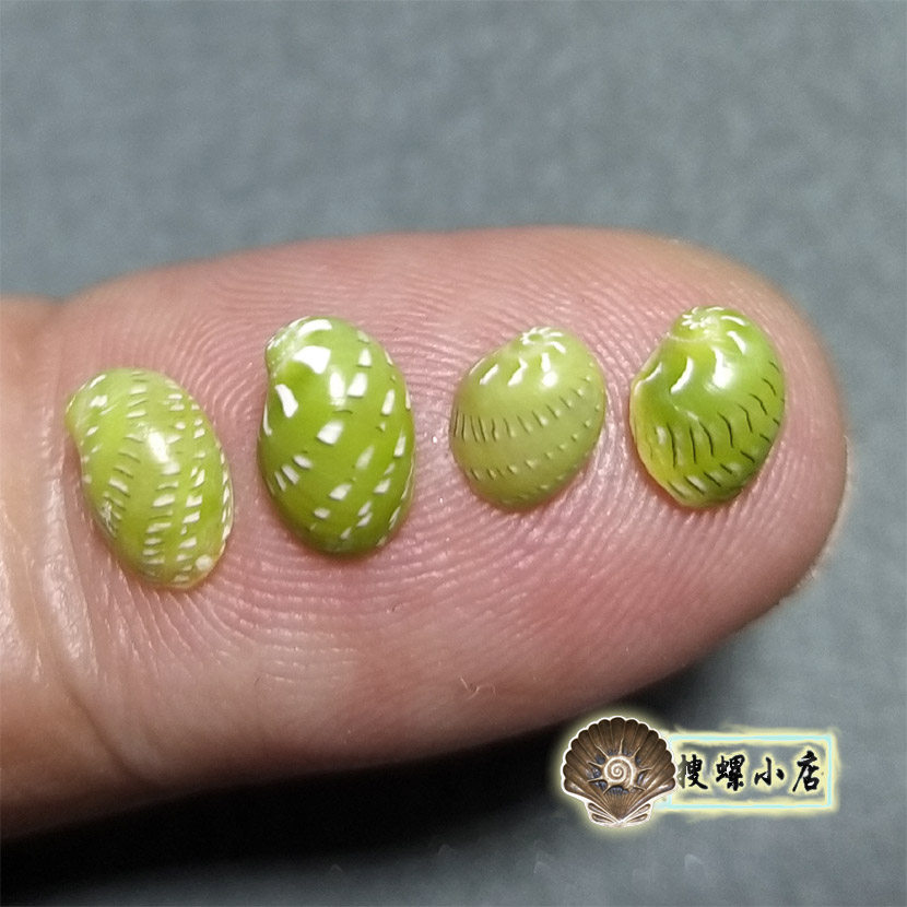 Around 6 mm emeralds are very small random shipping-Taobao