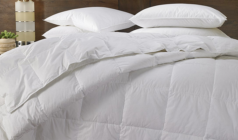 White down QUILT, winter quilt CORE, high-end five-star HOTEL bedding linen, 80-day standard, thickened, warm, high down content, light and warm HOTEL QUILT CORE pic 2