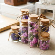 Natural forget-me-not dried flower wishing bottle glass cover ornaments creative mini transparent glass cover home accessories