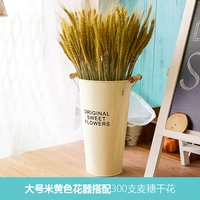 Большой рис желтый+300 ушей члена