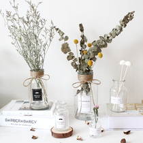 ins style simple hydroponic transparent small glass vase table flower arrangement Nordic style home decoration ornaments