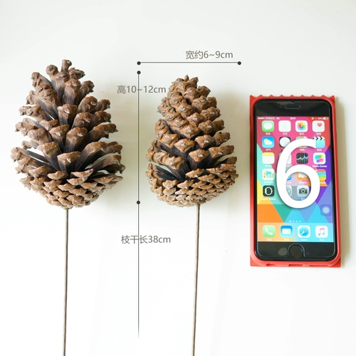 Большой натуральный острый сушеный сосна высушенные в цветочных ветвях Домашние цветочные материалы Материал натуральные кедровые фрукты Фрукты Фрукты Декоративные Цветы