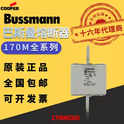 Original American BUSSMANN European standard cube fuse fast melting Basman fuse 170M6305