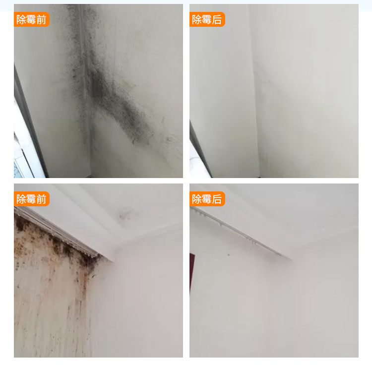 Đảm bảo men nhà loại bỏ nấm mốc tường trắng tường ngoài mâm xôi tường gia đình để làm sạch vết bẩn - Trang chủ chai tẩy bồn cầu