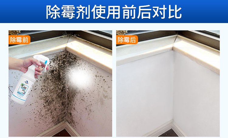 Đảm bảo men nhà loại bỏ nấm mốc tường trắng tường ngoài mâm xôi tường gia đình để làm sạch vết bẩn - Trang chủ chai tẩy bồn cầu