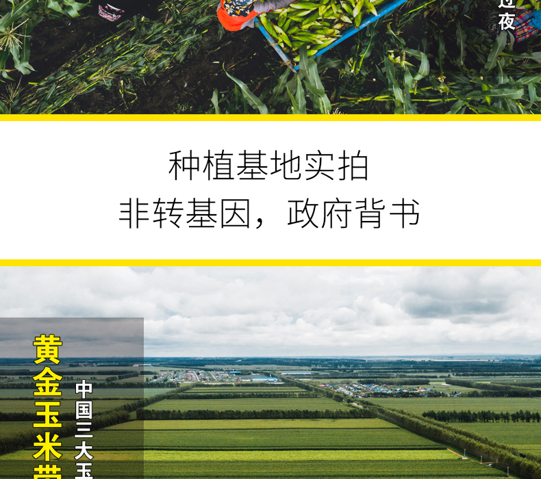 寒地黑土 东北新鲜糯甜玉米 六只 图3