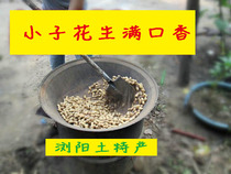 Liuyang cooked peanuts small seeds peanuts fried goods peanuts firewood peanut salt fried small seeds peanut original flavor with Shell red skin