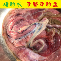 (1 kg of fresh pig placenta) Pig cytoplasm pig placenta pig house fresh delivery on the same day as giving birth to a baby