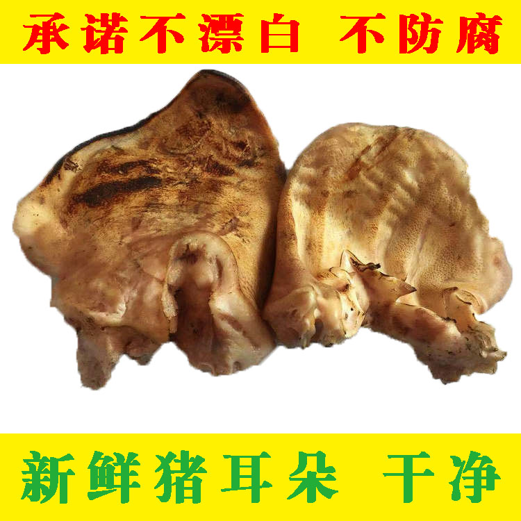 Fresh pig ears fresh ears fresh ears of pig pig with ear 1000 grams