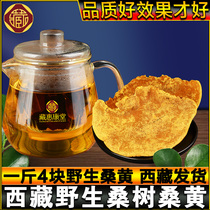 (a catty of 4 pieces) Tibetan wild mulberry yellow mulberry tree mulberry yellow wild 500g mulberry yellow powder lingzhi tea