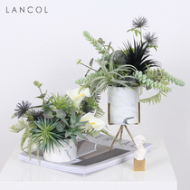 Lancol Nordic emulated flower suit with green plant multi-meat small potted dining room tea table Desktop laying flower fake flowers