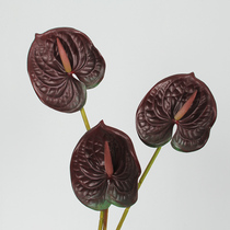 Lancol Eurostyle Retro Simulation Flower Wine Red Palm Hand Holding Flower Photography Wedding Shop Window-like Fake Flowers