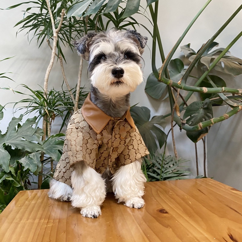 Trendy Dog Clothes Pet Dog Clothes Schnauzer Bichon Autumn and Winter Jacket Dog Shirt Leash Clothes Trendy Dog Clothes Pet Dog Clothes Schnauzer Bichon Autumn and Winter Jacket Dog Shirt Leash Clothes
