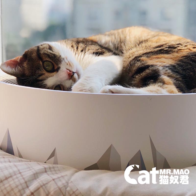 Cat slavejun Valley cat scratching board claw grinder large corrugated cat litter wear-resistant cat toy cat scratching litter cat supplies