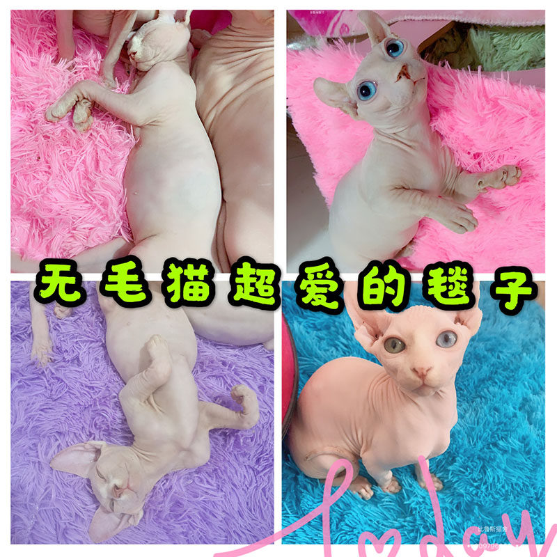 Spenx No Wool Cat Warm Nest Blanket Long Suede Blanket Cat Kitty small mat No Mao cat likes a blanket