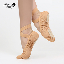 Small Jasmine Force Cloth Dance Shoes Women Soft Bottom Practice Shoes Summer Adults Yoga Shoes Cat Paw Shoes Ballet Body Shoes