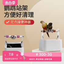 Standing pole parrot fixed-point defecation stand desktop training artifact small shelf trash can cockatiel special stand