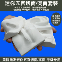 Small human facial features model teaching aids art white head plaster facial features sketch facial features eyes nose ears mouth
