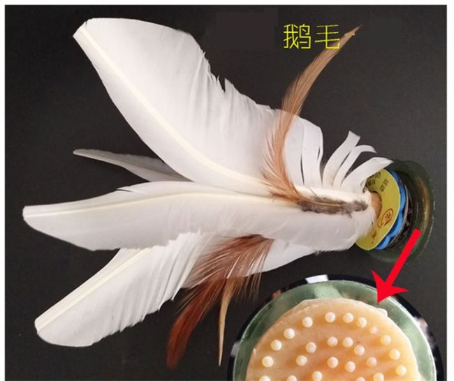 Cạnh tranh bọ cạp người lớn tập thể dục trẻ em mẫu giáo tiểu học kháng chiến đặc biệt để đá gân bò dưới nút lông lông bóng - Các môn thể thao cầu lông / Diabolo / dân gian