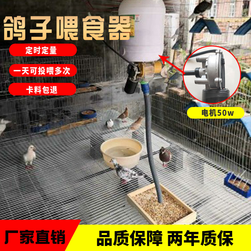 Pigeon automatic feeder Carrier pigeon feeder Timing and quantitative feeding Watching pigeons Pigeon racing supplies and utensils Feeding water