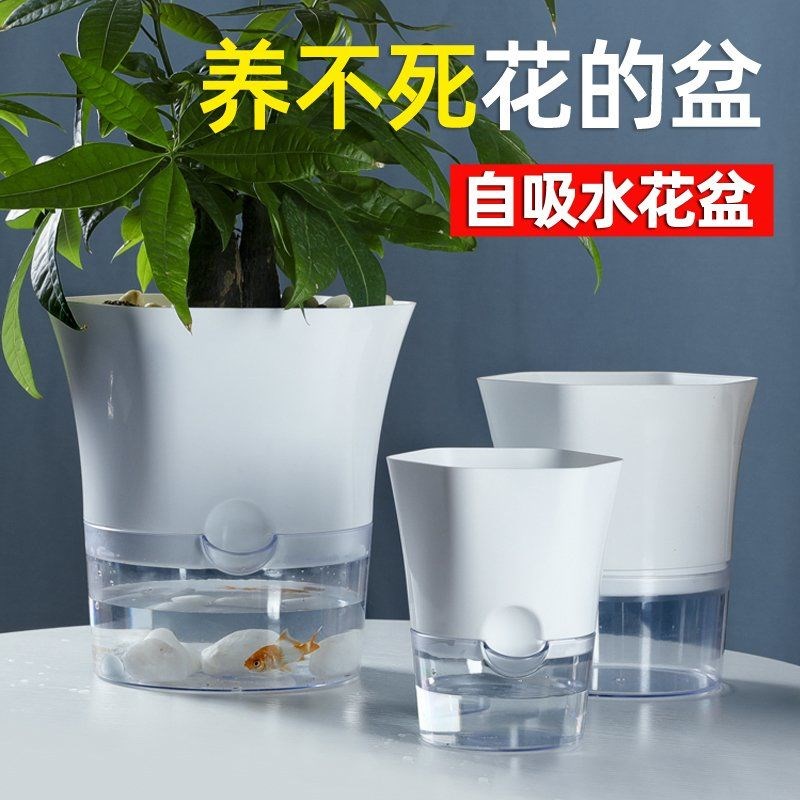 Water storage lazy flowerpot simple transparent potted plant fish flower symbiosis indoor green dill automatic water-absorbing plastic flowerpot