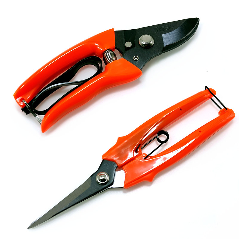 Taiwan TIGER TIGER HEAD CARD 700 coarse branches cut 190 off fruit cut Japan SK5 branches fruit trees prunes cut gardening shears