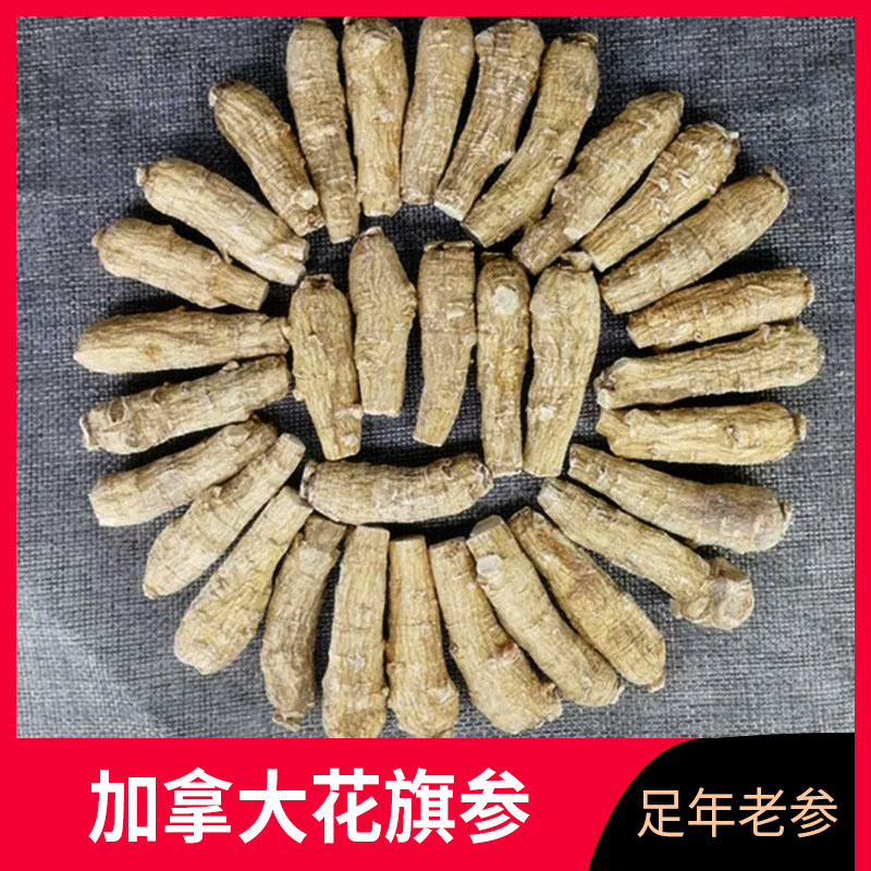 Authentic Canadian imported American Ginseng pruning section can help beat ultrafine powder 250 grams