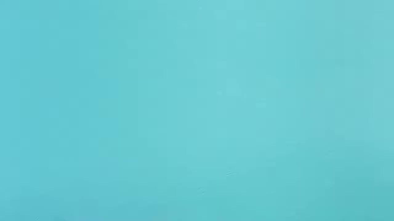 Nickelodeon Shimmer and Shine Girls 2-Piece Flannel Sleepwear Pajama Set Aqua Bl